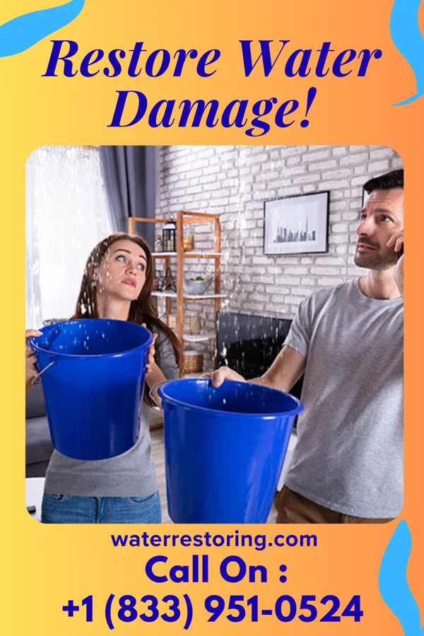 water restoration Expert Flood Mitigation Pros Shirleysburg