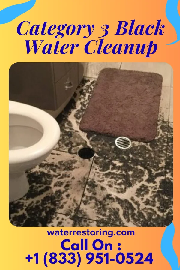 Category 3 Black Water Cleanup in Shirleysburg, PA
