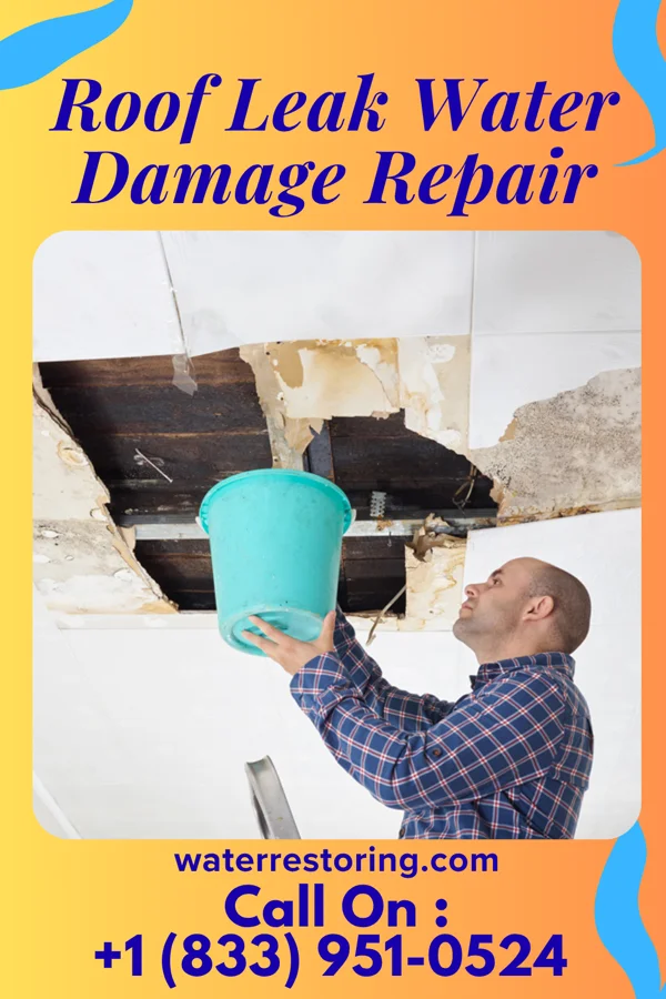 Roof Leak Water Damage Repair in Shirleysburg, PA