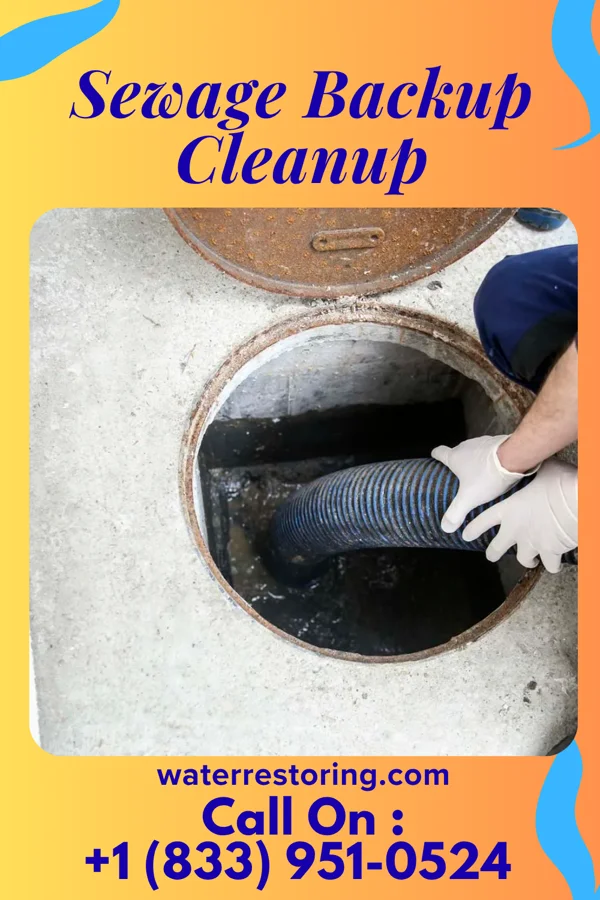 Sewage Backup Cleanup in Shirleysburg, PA