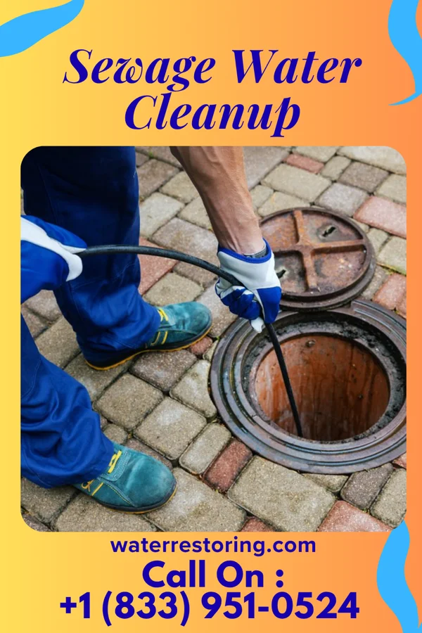 Sewage Water Cleanup in Shirleysburg, PA